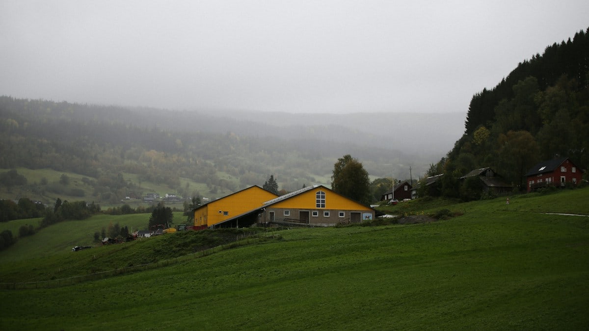 a yellow house sitting on top of a lush green hillside